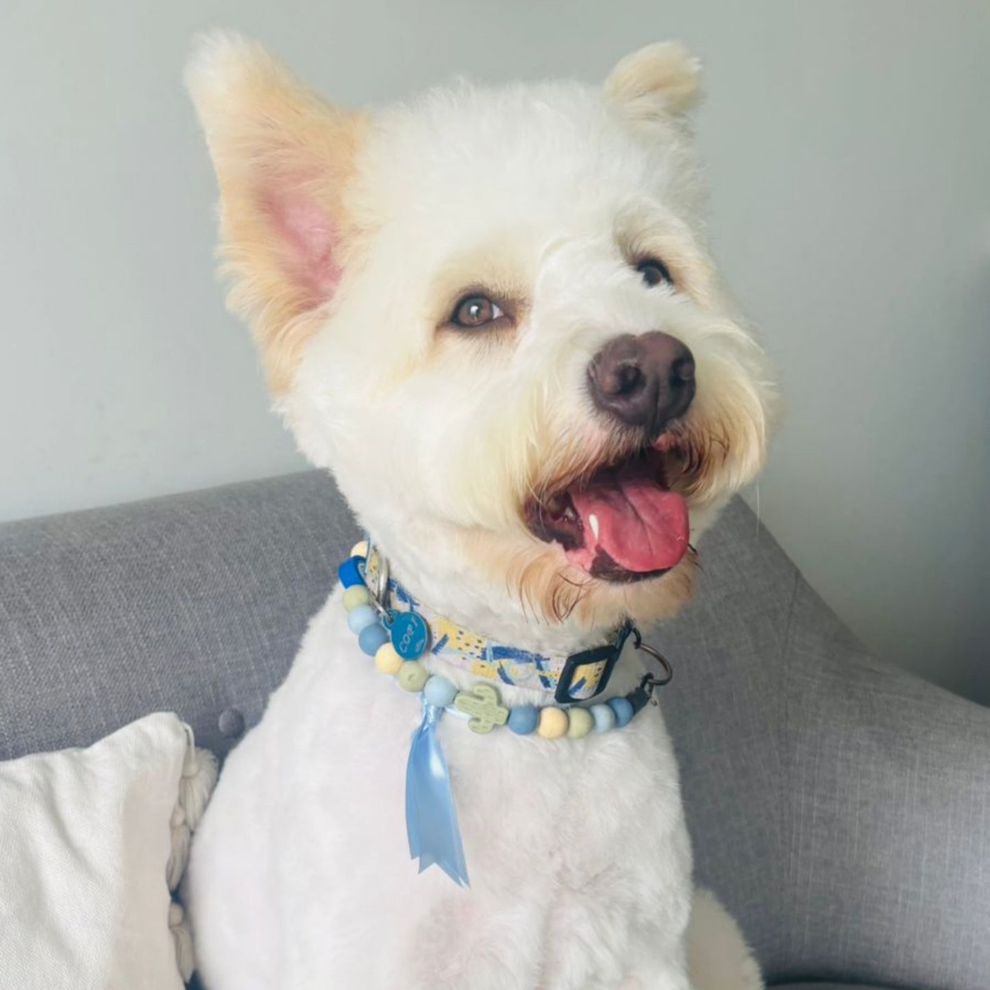 Roo Charmed Boyverse
