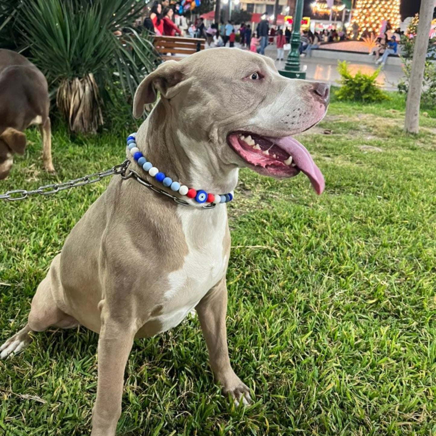 Roo Charmed Amuleto