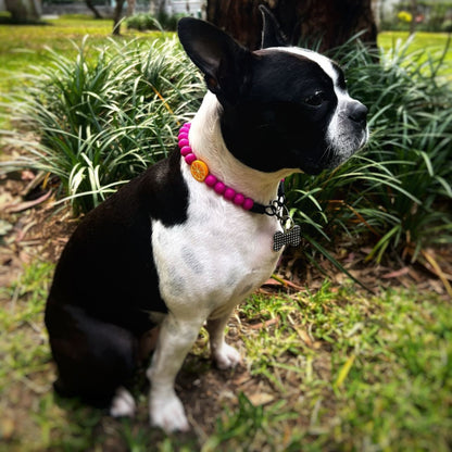 Roo Charmed Citrus Glow