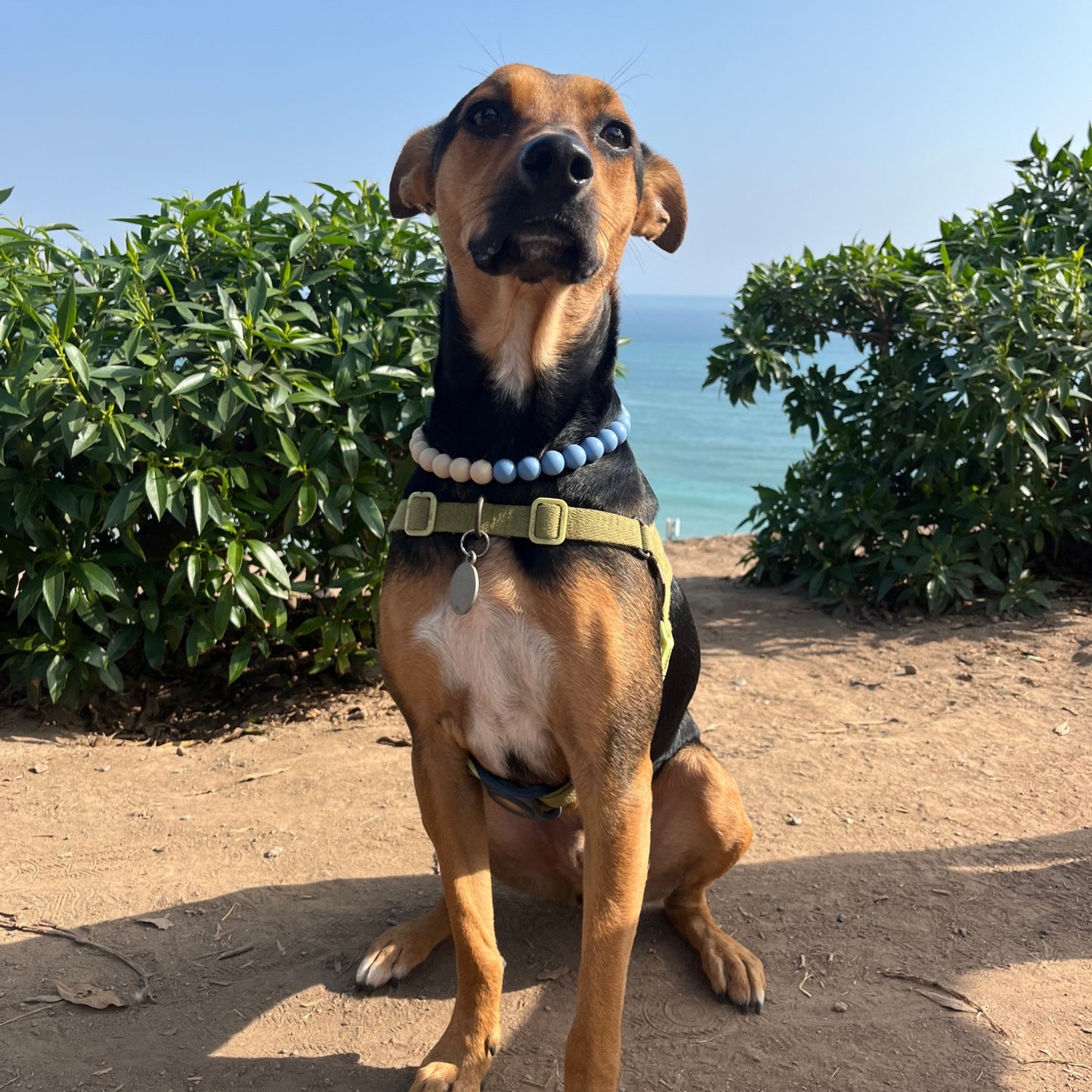 Roo Mix & Match Sea & Sand