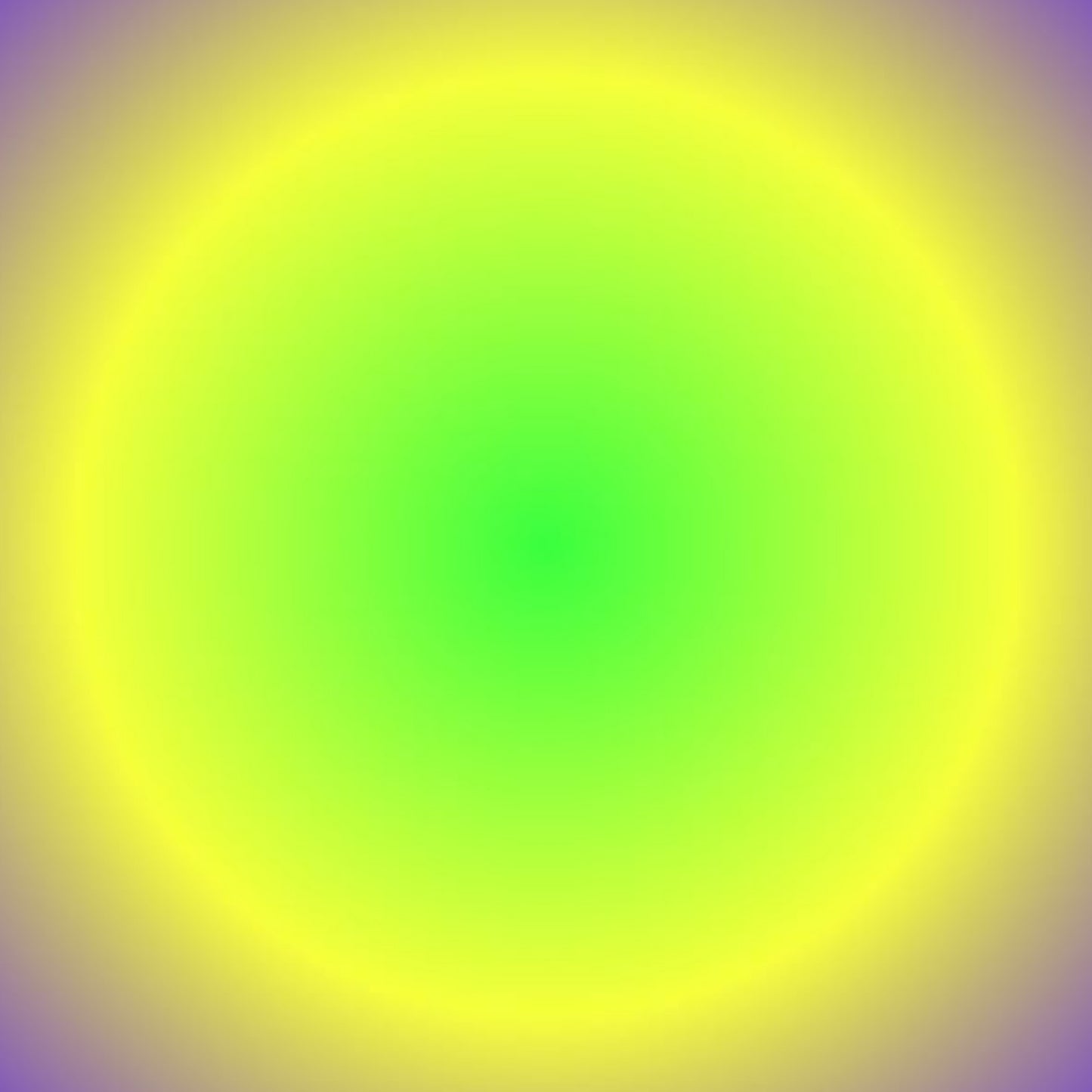 Roo Monocolor Neon Yellow