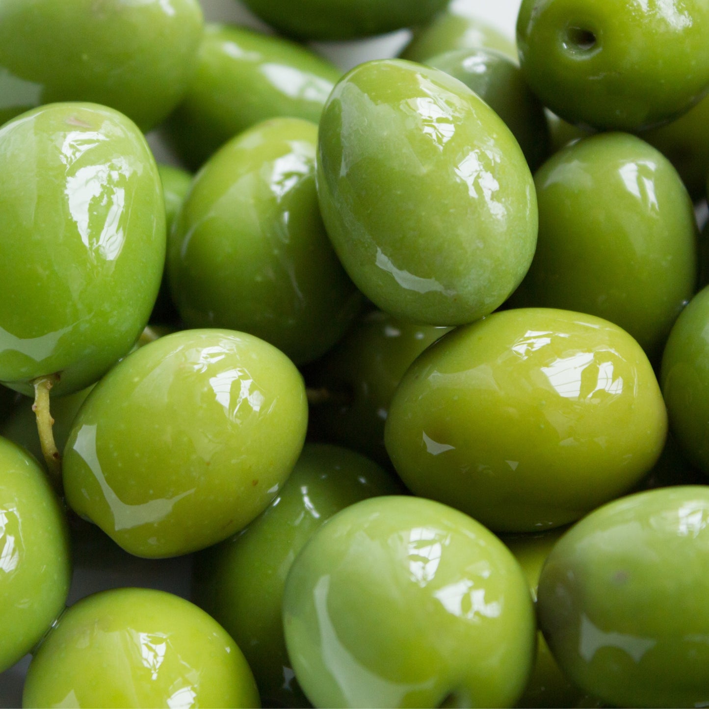 Roo Monocolor Olive
