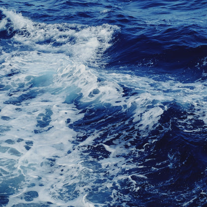 Roo Monocolor Sea